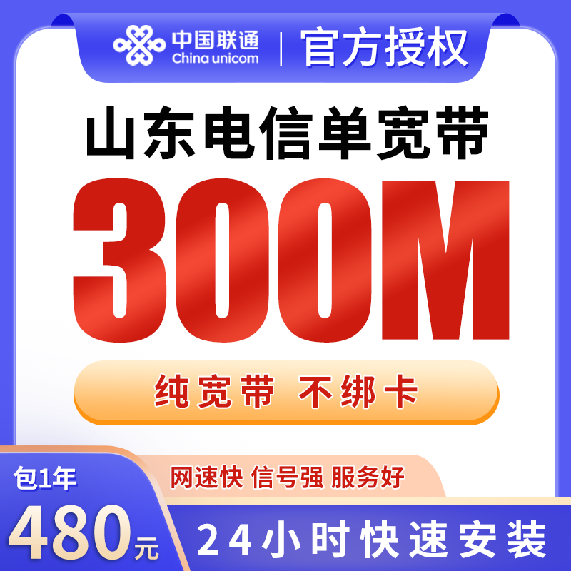 山东电信480元包1年单宽带300M【不含调试费】
